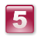 5 5 5